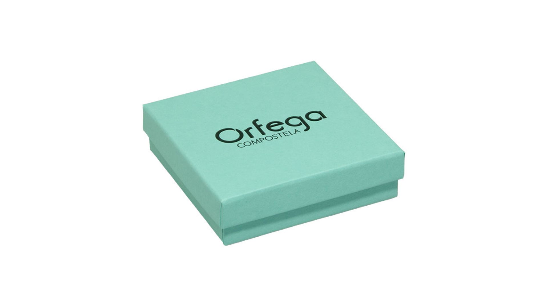 Klantreferentie: Orfega